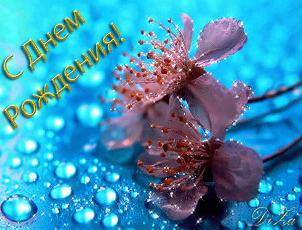 http://100cards.ru/s-dnyem-rozhdeniya/otkrytki-s-dnem-rozhdeniya-145.gif